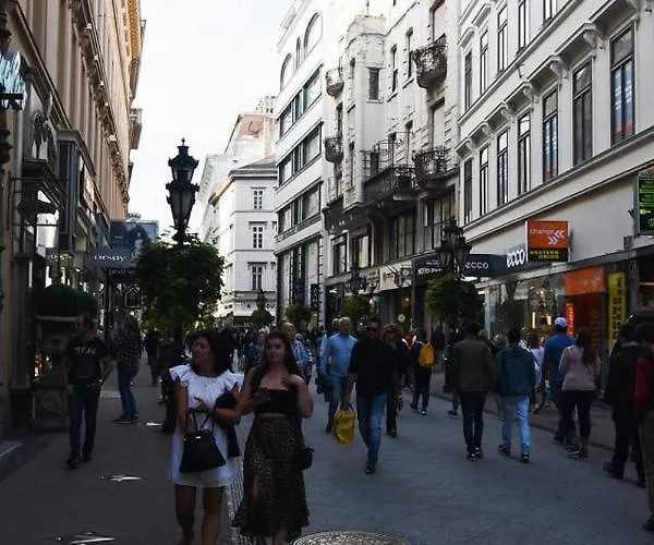 Ultra And Stylish With Ac * Budapest